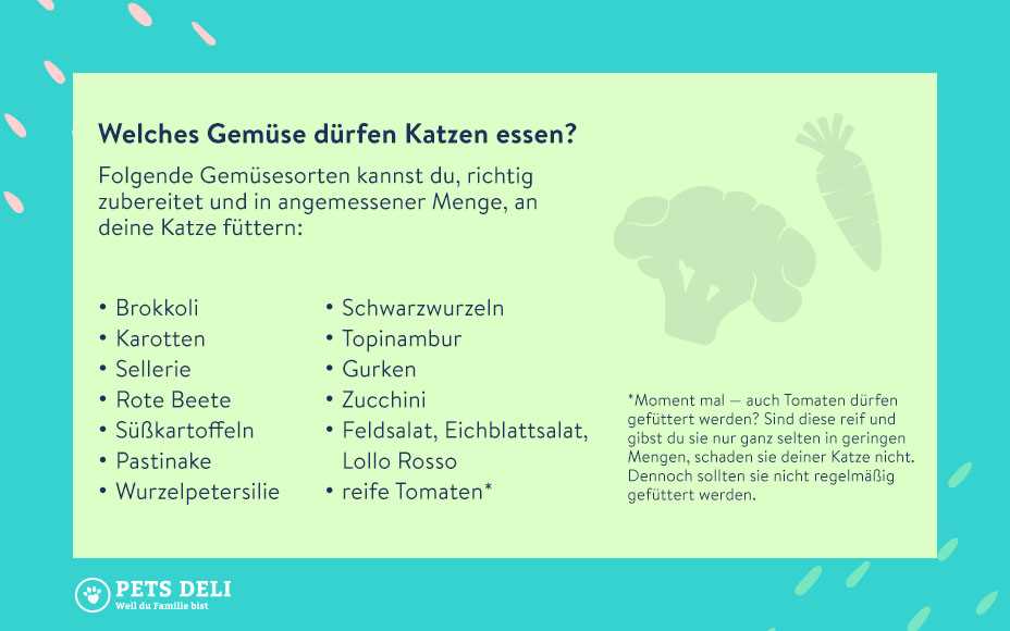 Was dürfen Katzen essen? Eine Liste von sicheren Lebensmitteln für deine Katze