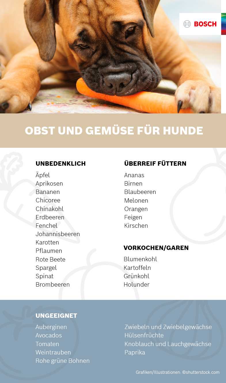 8. Die besten Sorten für Hunde