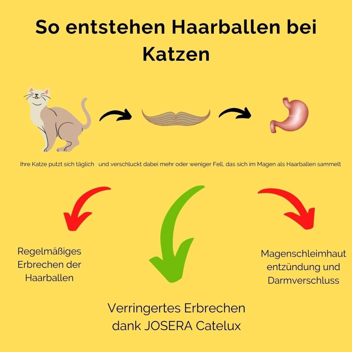 Was hilft gegen Haarballen bei Katzen? Praktische Tipps und Lösungen