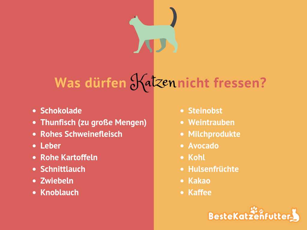 Andere giftige Lebensmittel für Katzen