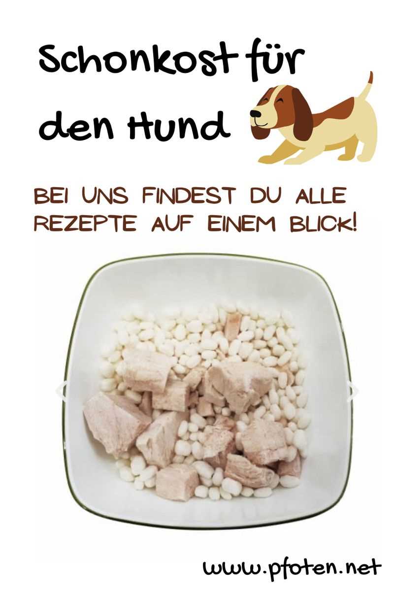 Wie wird Schonkost für Hunde zubereitet?