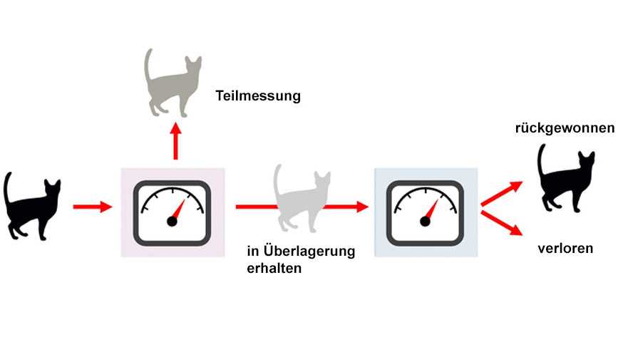 Was ist Schrödingers Katze?