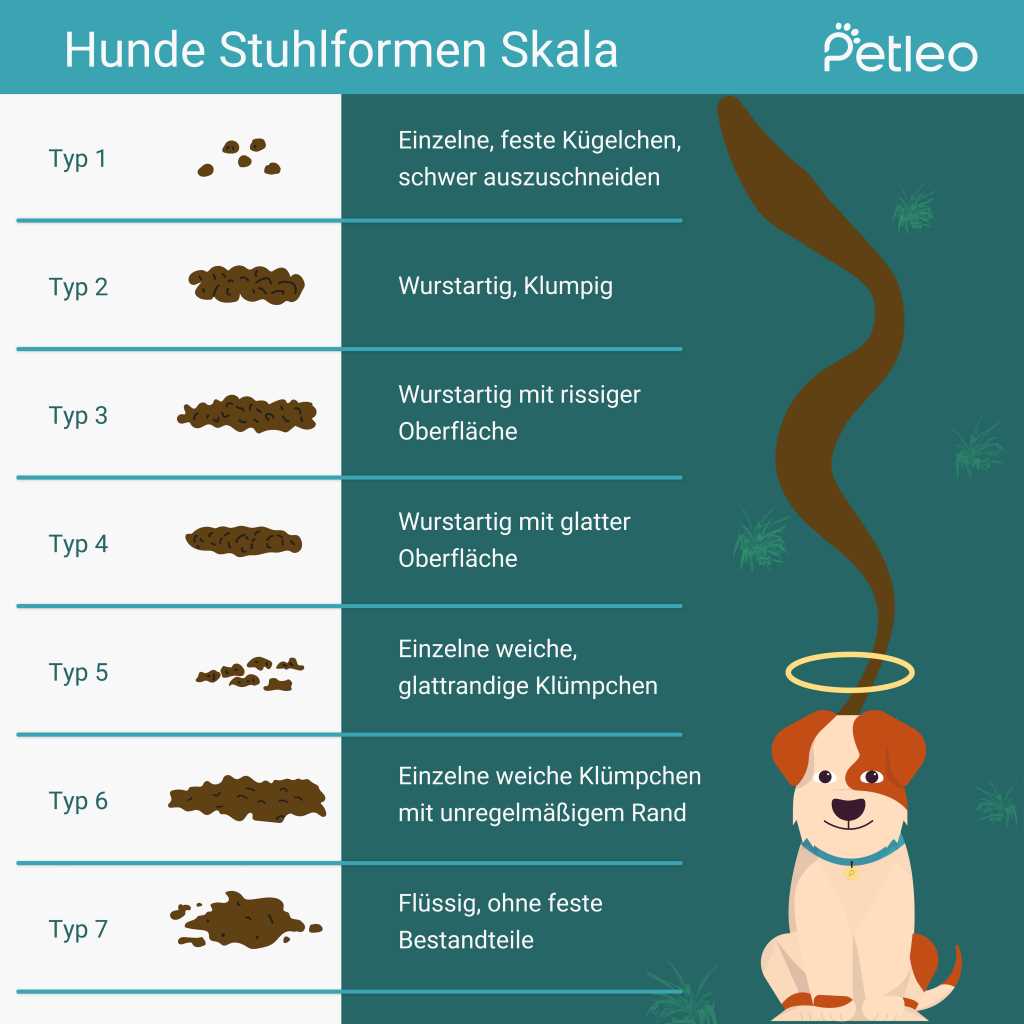 Fütterung mit Schonkost