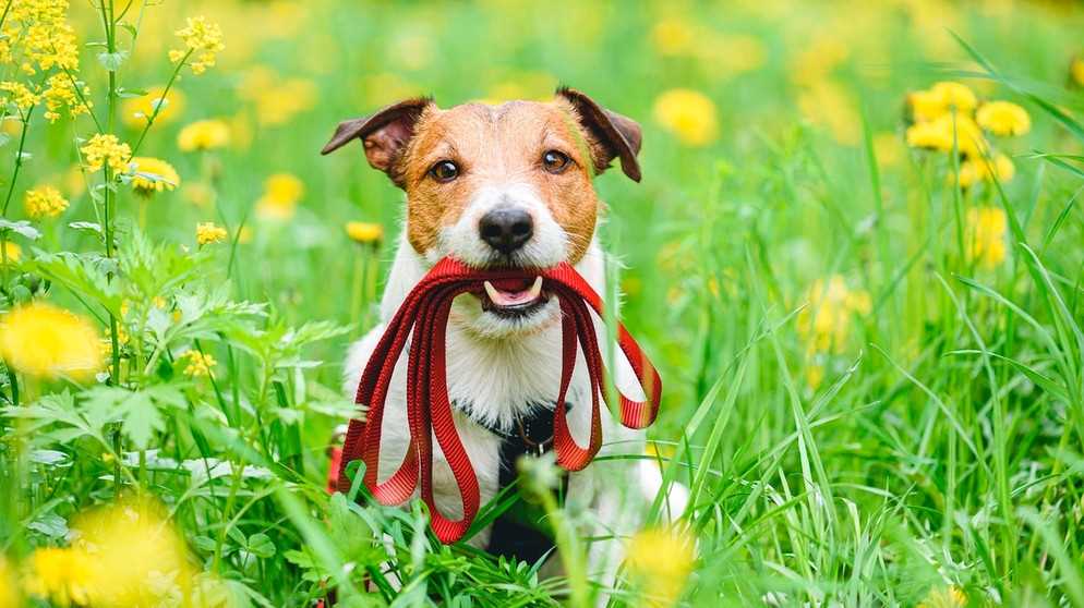 3. Trainingseinheiten einbauen