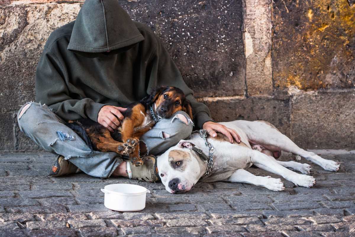 Verantwortung beim Hundekauf