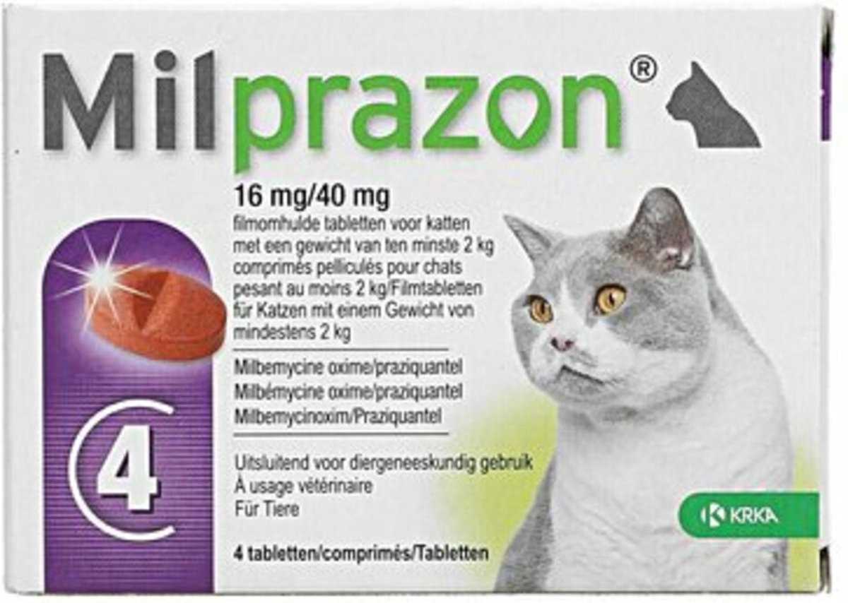 Empfehlungen für Wurmtabletten