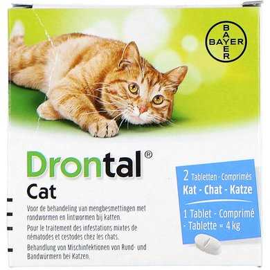 Tipps zur Verwendung von Wurmtabletten bei Katzen