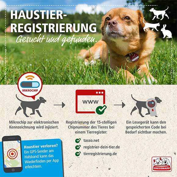 Wie viel kostet ein Chip für Hunde?