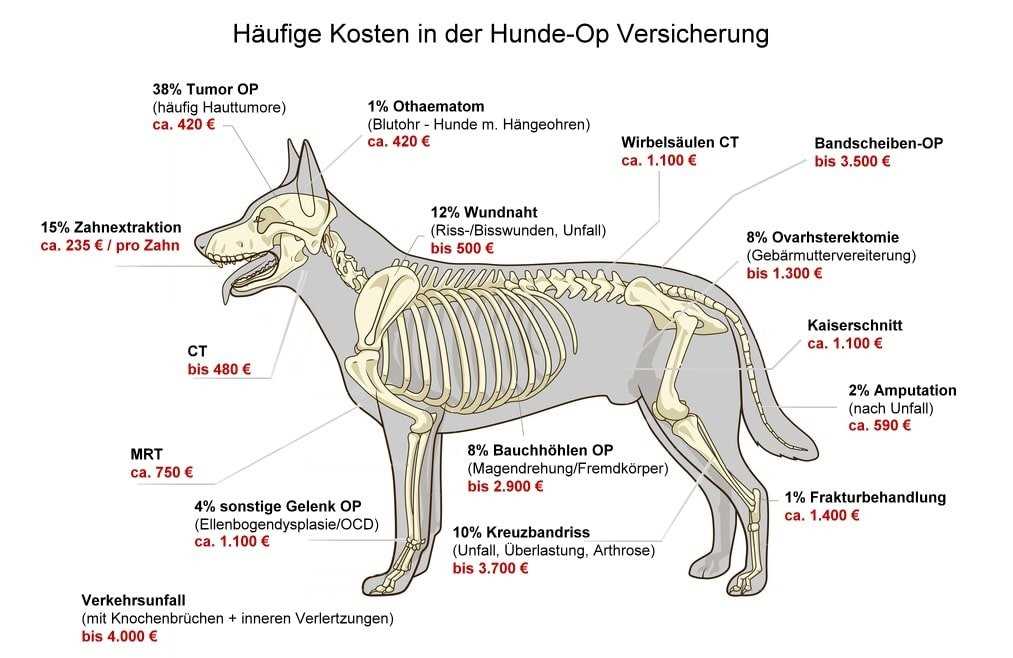 Vorbereitungstermin vereinbaren