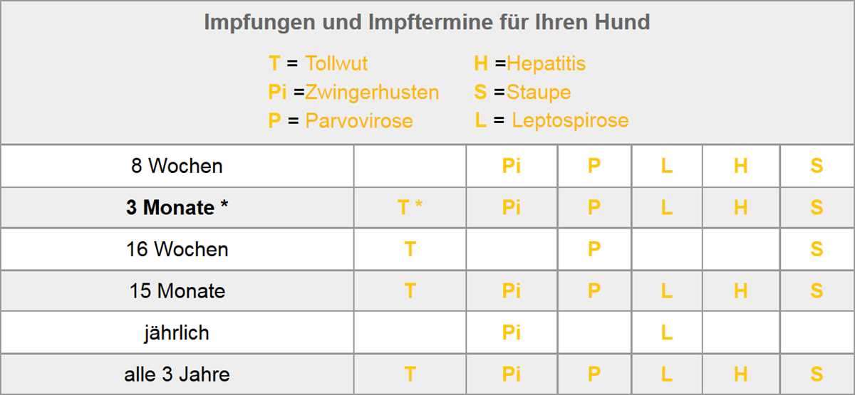 Impfungen für den Hund