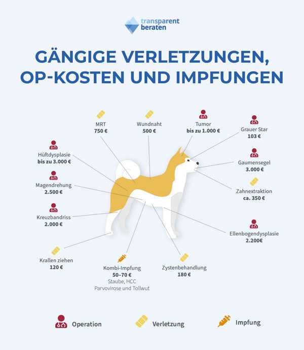 Was kostet eine Impfung beim Hund? Preise und Informationen