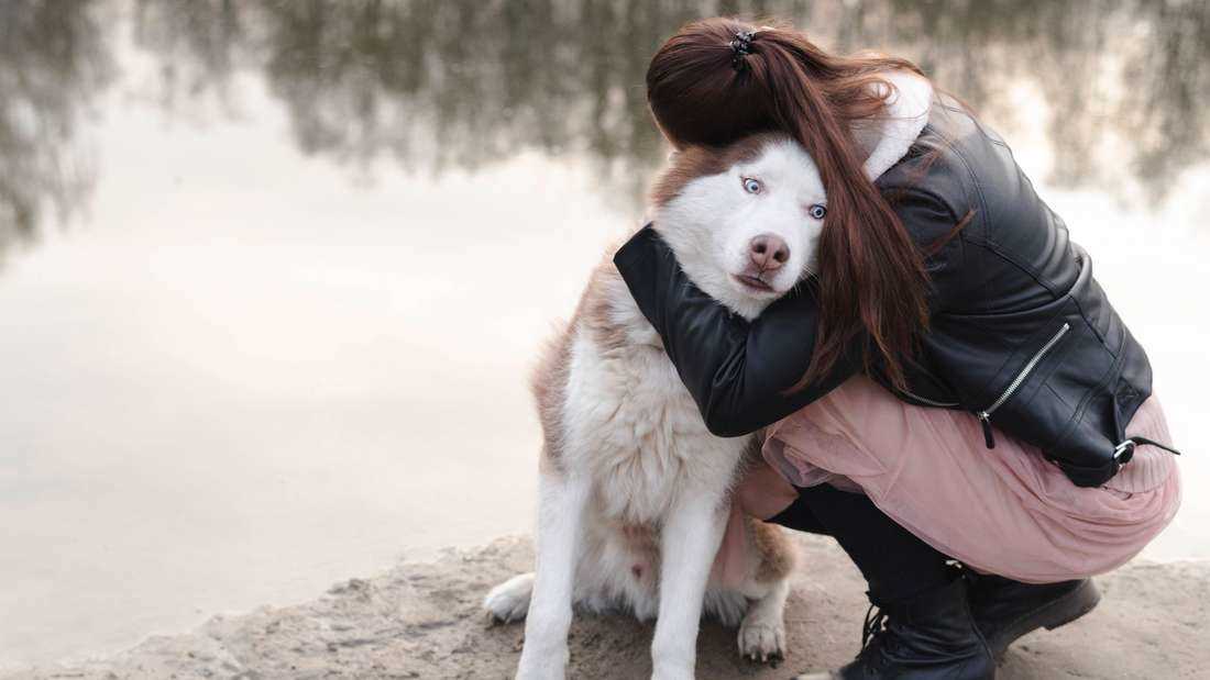 Was kostet es, einen Hund einschläfern zu lassen? Preis und Informationen