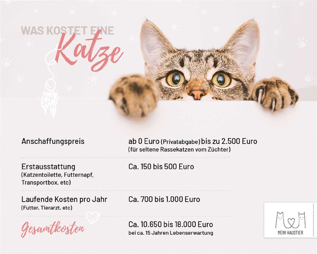 Was beeinflusst den Preis einer Katzenimpfung?