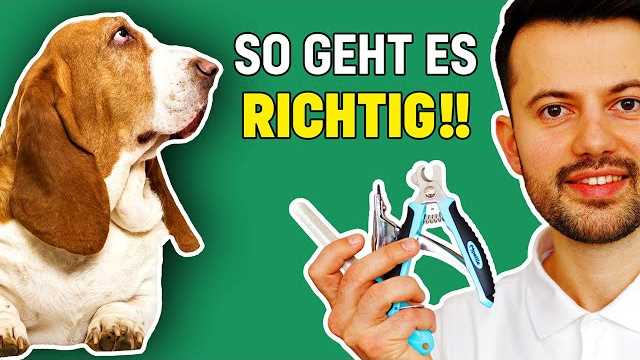 Nachteile des selbstständigen Schneidens der Hundekrallen