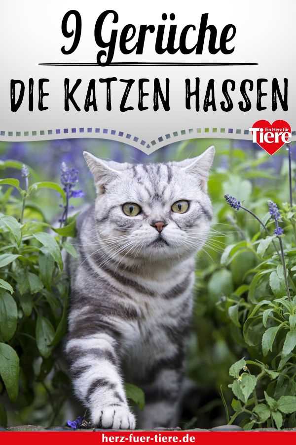 Tierarztbesuche