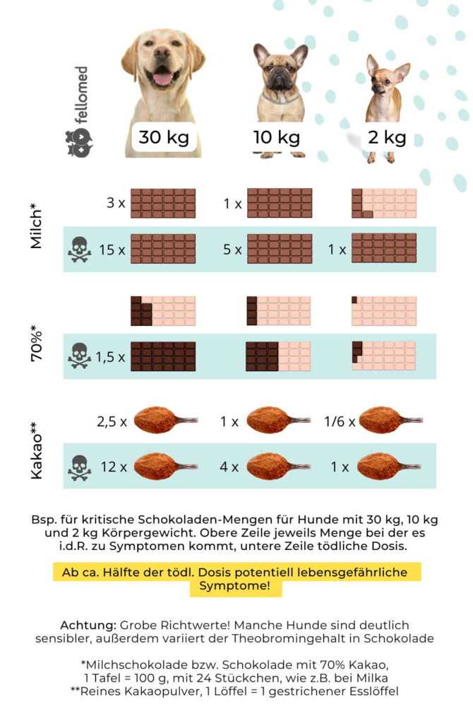 Warum Schokolade giftig für Hunde ist