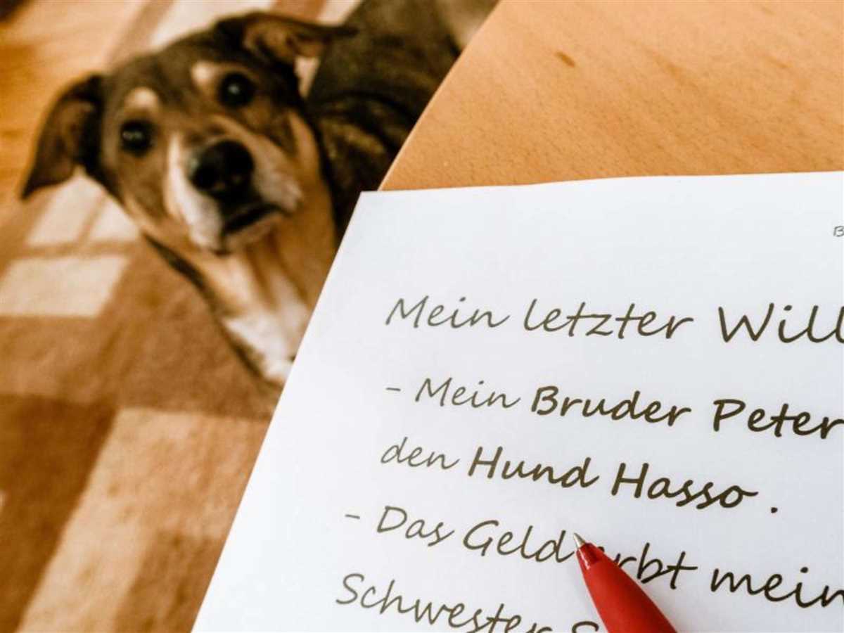 Was sagt man, wenn ein Hund stirbt?