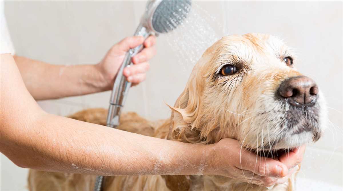 Hygienische Umgebung schaffen