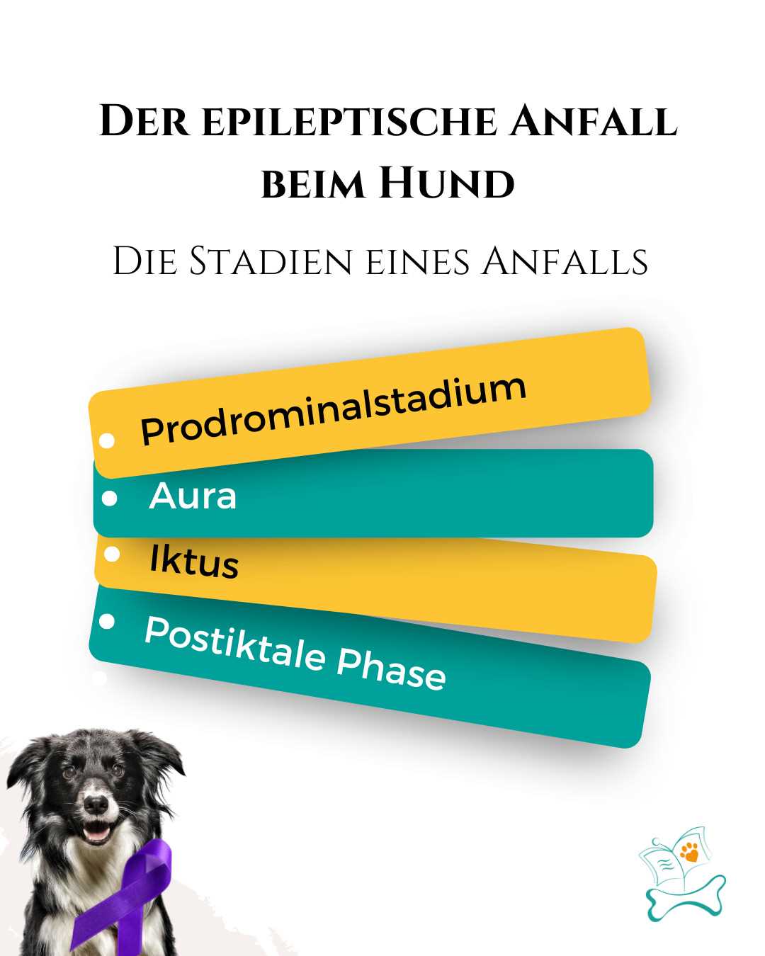 Ursachen für epileptische Anfälle beim Hund