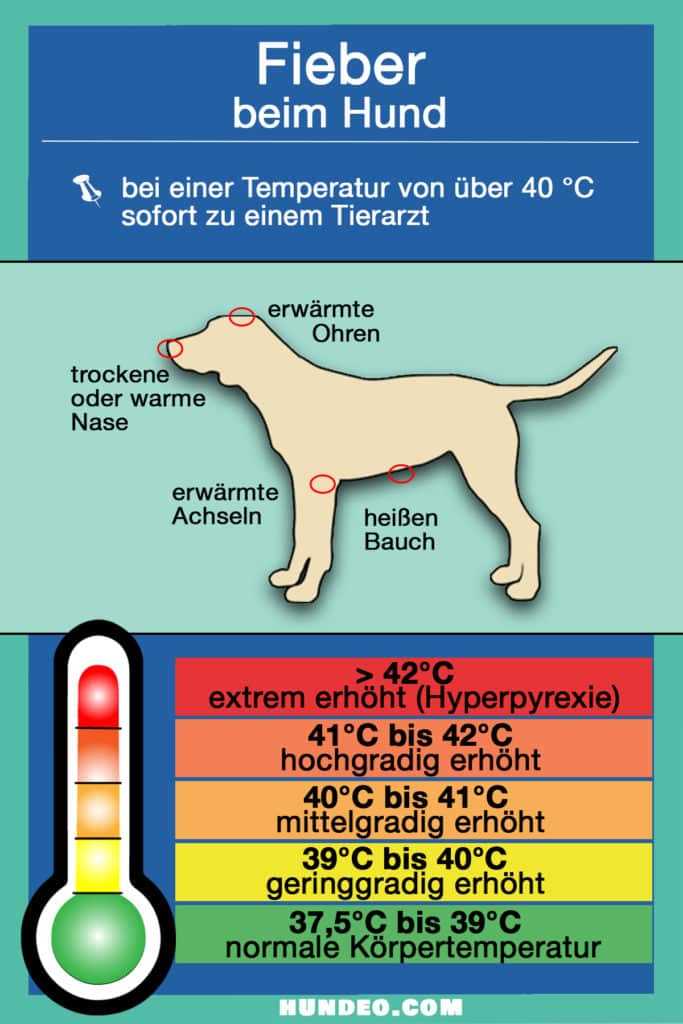 4. Veränderte Körpersprache