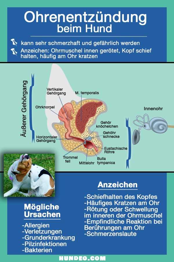 Erste Maßnahmen bei Ohrenentzündung