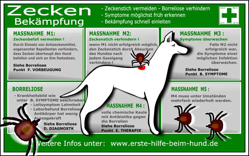 4. Verletzungsrisiko minimieren