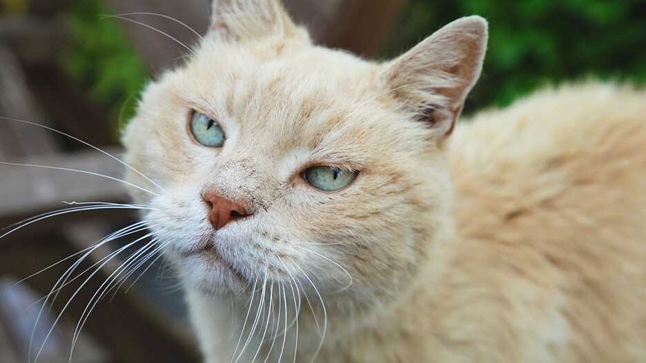 Verschiedene Futtermethoden ausprobieren