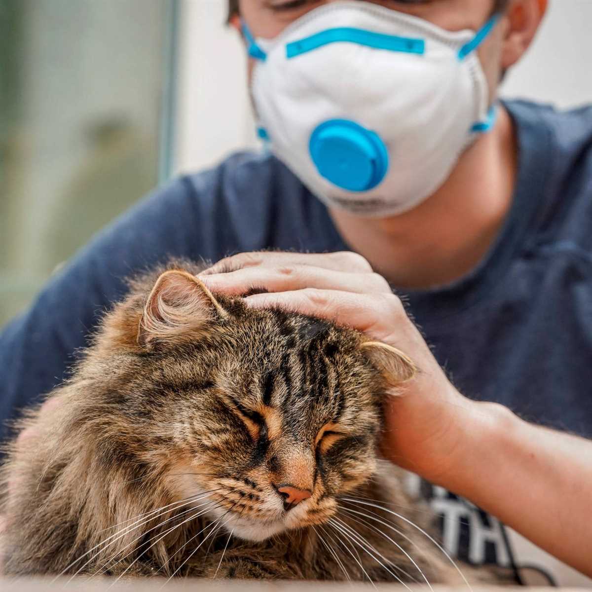 Symptome der Katze beobachten und Diagnose stellen