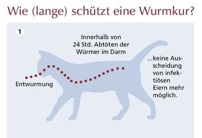 7. Regelmäßige tierärztliche Untersuchungen