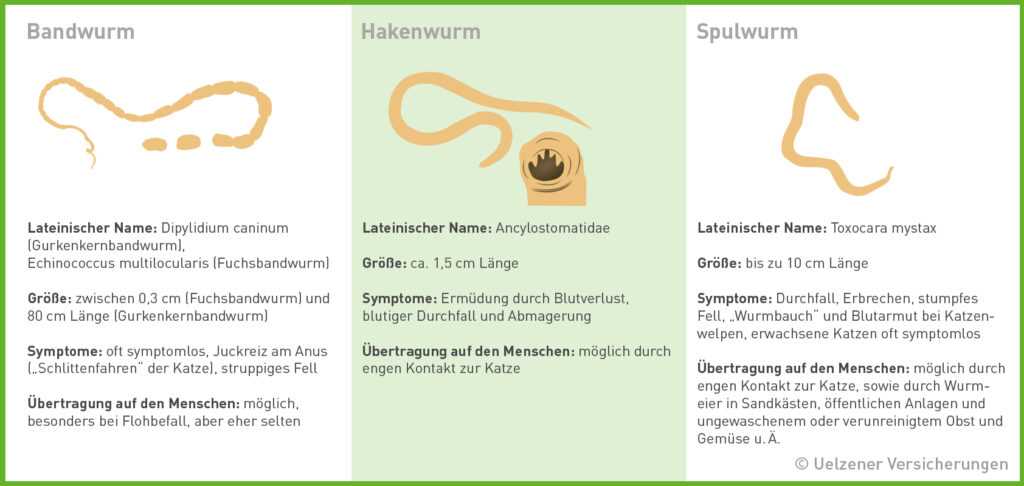 4. Umgebung reinigen