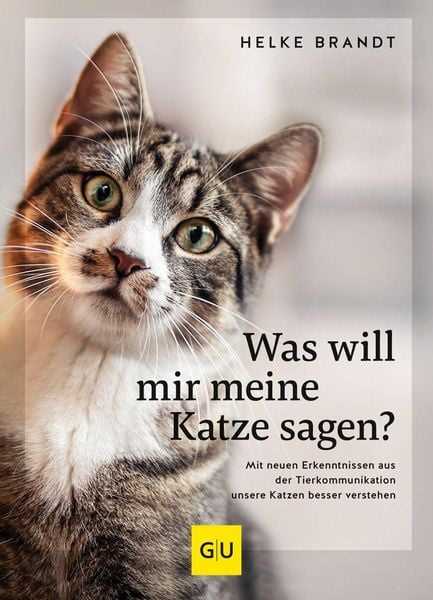 was will meine katze mir sagen nolyiycn