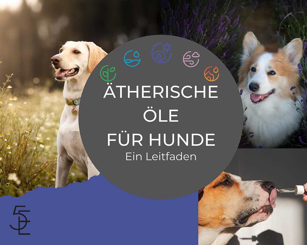 Was tun, wenn der Hund ätherische Öle eingeatmet oder verschluckt hat?