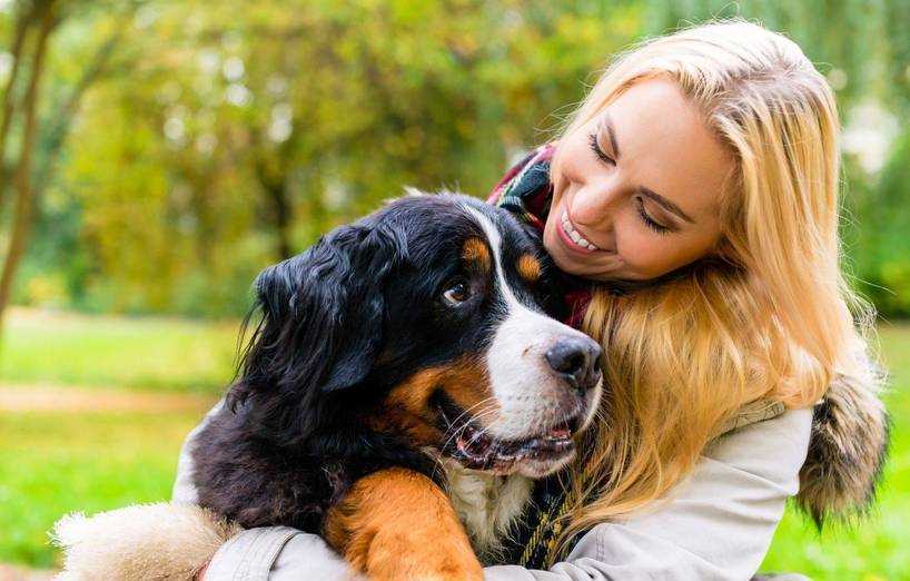 3. Cavalier King Charles Spaniel