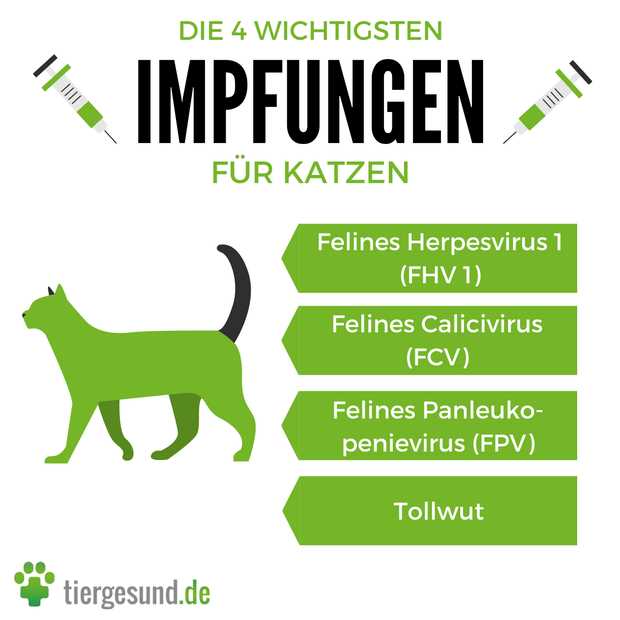 2. Katzenseuche (Feliner Panleukopenie-Virus)