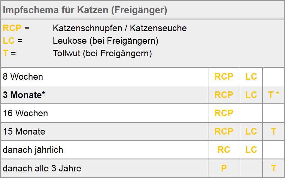 Welche Impfungen braucht eine Katze? Alles, was Sie wissen müssen