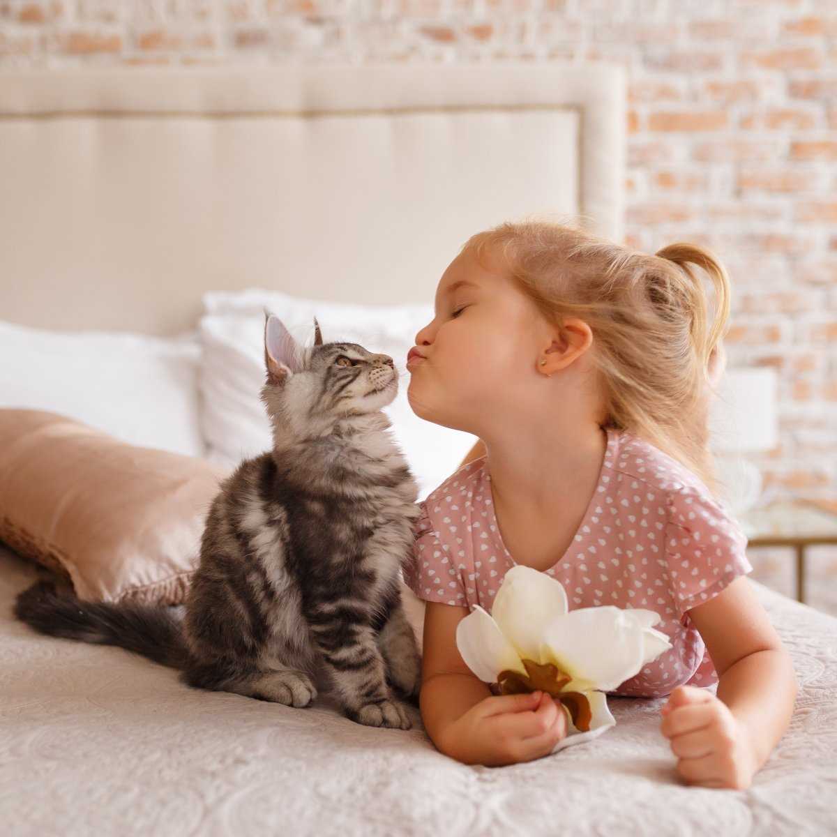 Welche Katze für Kinder: Tipps und Empfehlungen