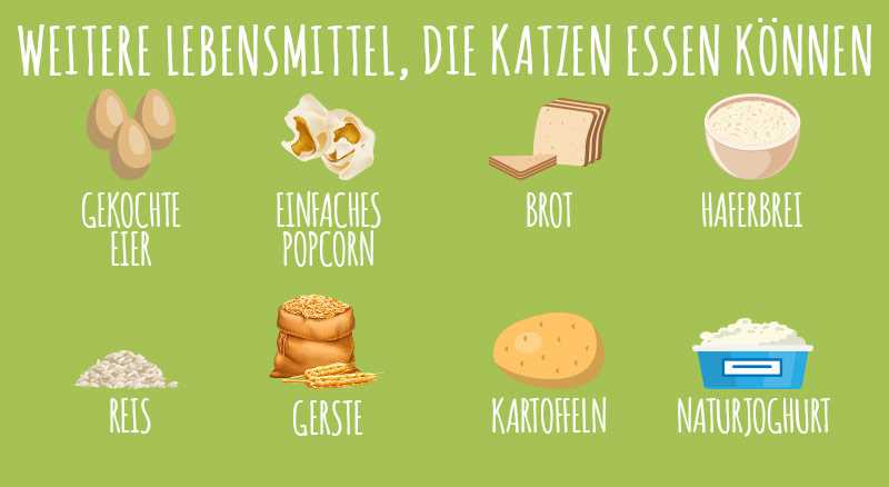 2. Zwiebeln und Knoblauch