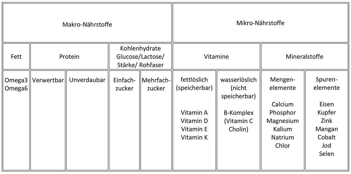 Fette: Für eine gesunde Haut und glänzendes Fell