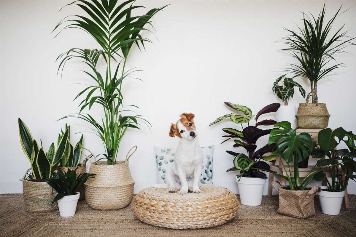 Katze von den Pflanzen fernhalten