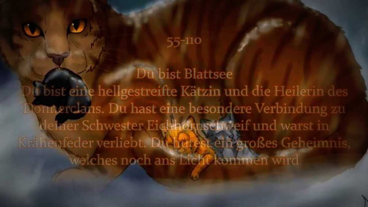 Welche Warrior Cats Katze bin ich? – Finde es mit diesem Quiz heraus!