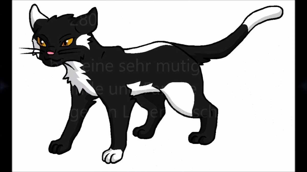 Hier ist das Ergebnis deines Warrior Cats Katze Quiz: