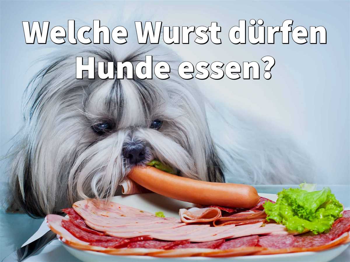 Zusätzliche Zutaten, die Hunde meiden sollten