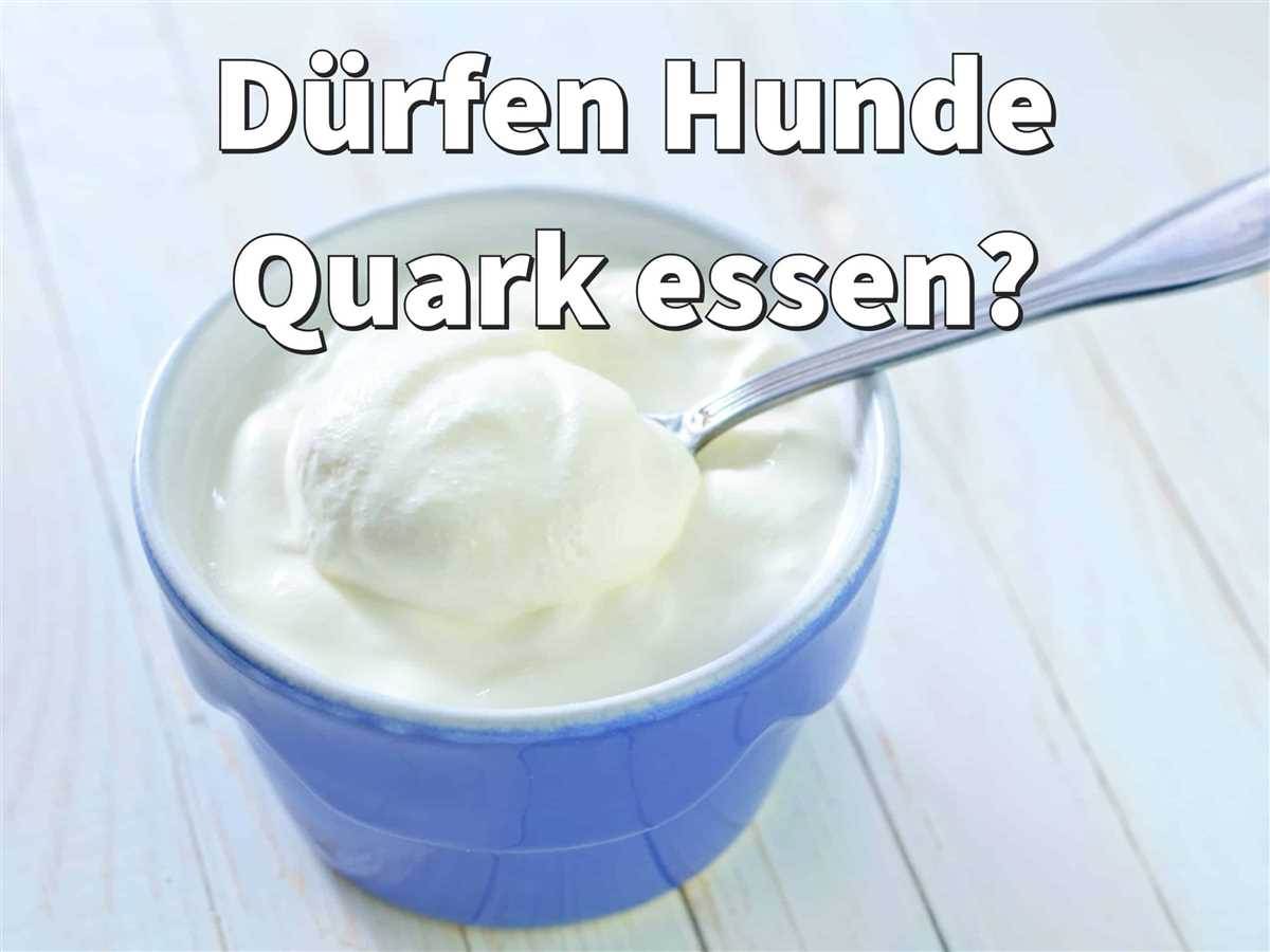 2. Quark als Calciumquelle