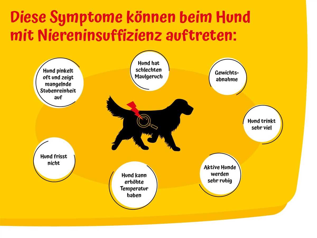 Welches Fleisch ist geeignet bei Niereninsuffizienz beim Hund?