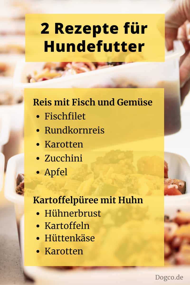 Welches Gemüse für Hunde kochen: Eine gesunde Ernährung für Ihren besten Freund