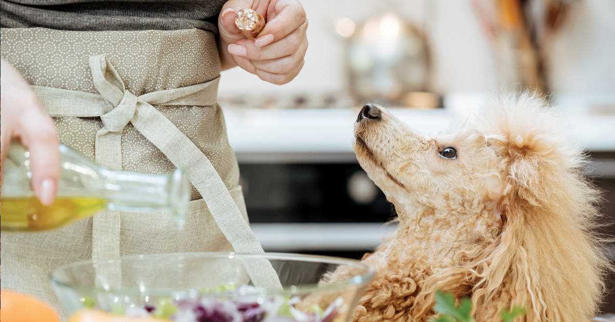 Ein beliebtes Öl zur Behandlung von Verstopfung beim Hund ist Leinöl. Dieses Öl ist reich an Omega-3-Fettsäuren, die entzündungshemmende Eigenschaften haben und die Verdauung unterstützen können. Leinöl kann dem Futter deines Hundes hinzugefügt werden, um die Stuhlgang zu erleichtern.