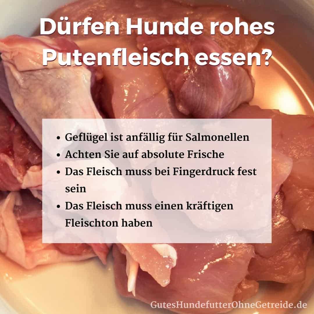 Tipps zum Kauf von Pferdefleisch