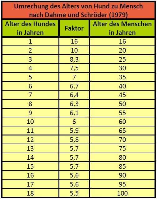 6. Stressreduktion