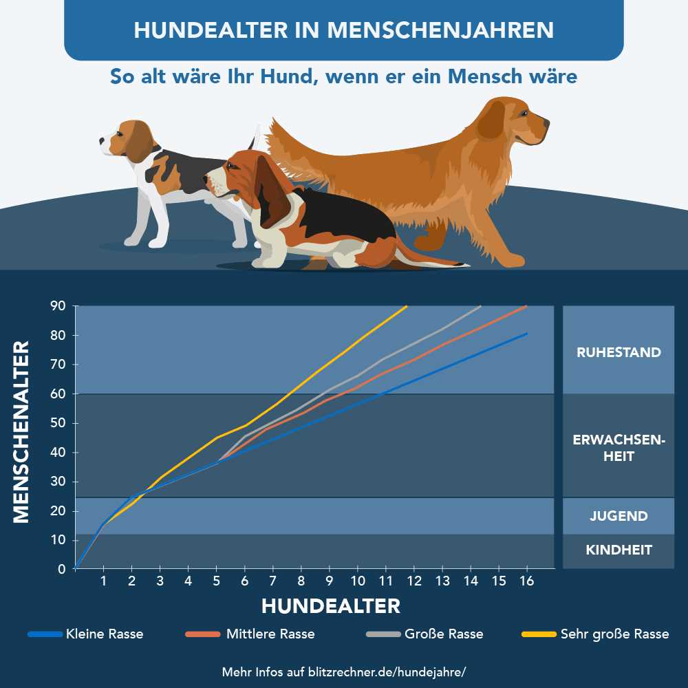 7. Liebevolle Pflege