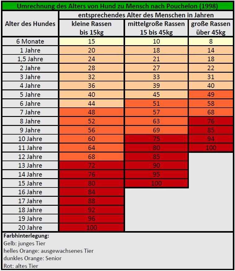 Tipps zur Berechnung des Hundealters
